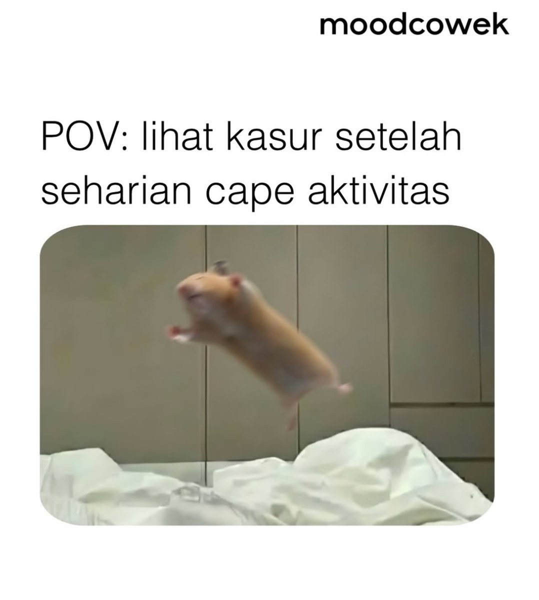 AZALEA_ZIVANA1's tweet photo. pengen rebahan langsung rasanyaa 😖 https://t.co/yJJgQ1SMyC