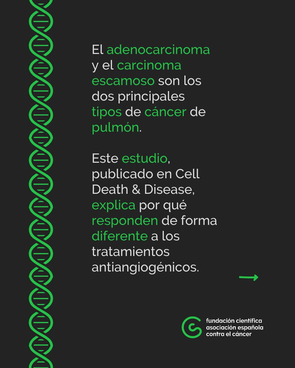 contracancerINV's tweet photo. 🔬 Un estudio realizado por el Dr. Jordi Alcaraz  ( @UniBarcelona ) identifica mecanismos del microambiente tumoral que podrían explicar por qué adenocarcinoma y carcinoma escamoso de pulmón responden de forma diferente a las terapias antiangiogénicas. 🧵👇 https://t.co/XuAEJhbD9R