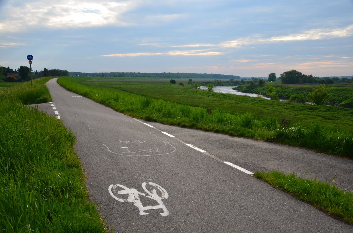 WandelFietspad's tweet photo. 🚲 Vandaag is het #Wereldfietsdag!
Een schitterende dag om op de fiets te stappen en te genieten van alles wat er onderweg te ontdekken valt! Van kronkelende landweggetjes tot prachtige natuur en gezellige tussenstops. 🌿☀️🚴
https://t.co/ZIKEKH0Iyv https://t.co/zuEjqL9Ner