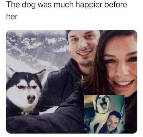 Puppieslover's tweet photo. https://t.co/yginqF5kgO