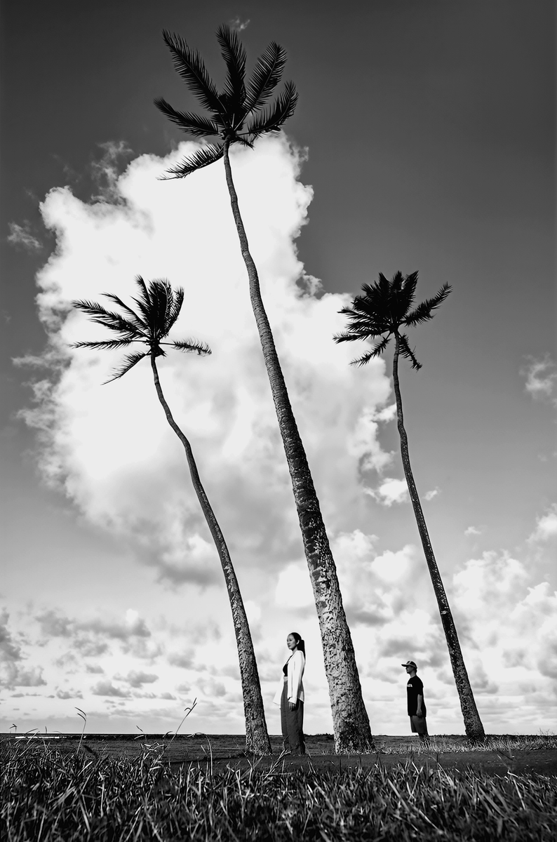 cameralab21's tweet photo. Alan Schaller - Hawaii https://t.co/nc1PBn0MF6