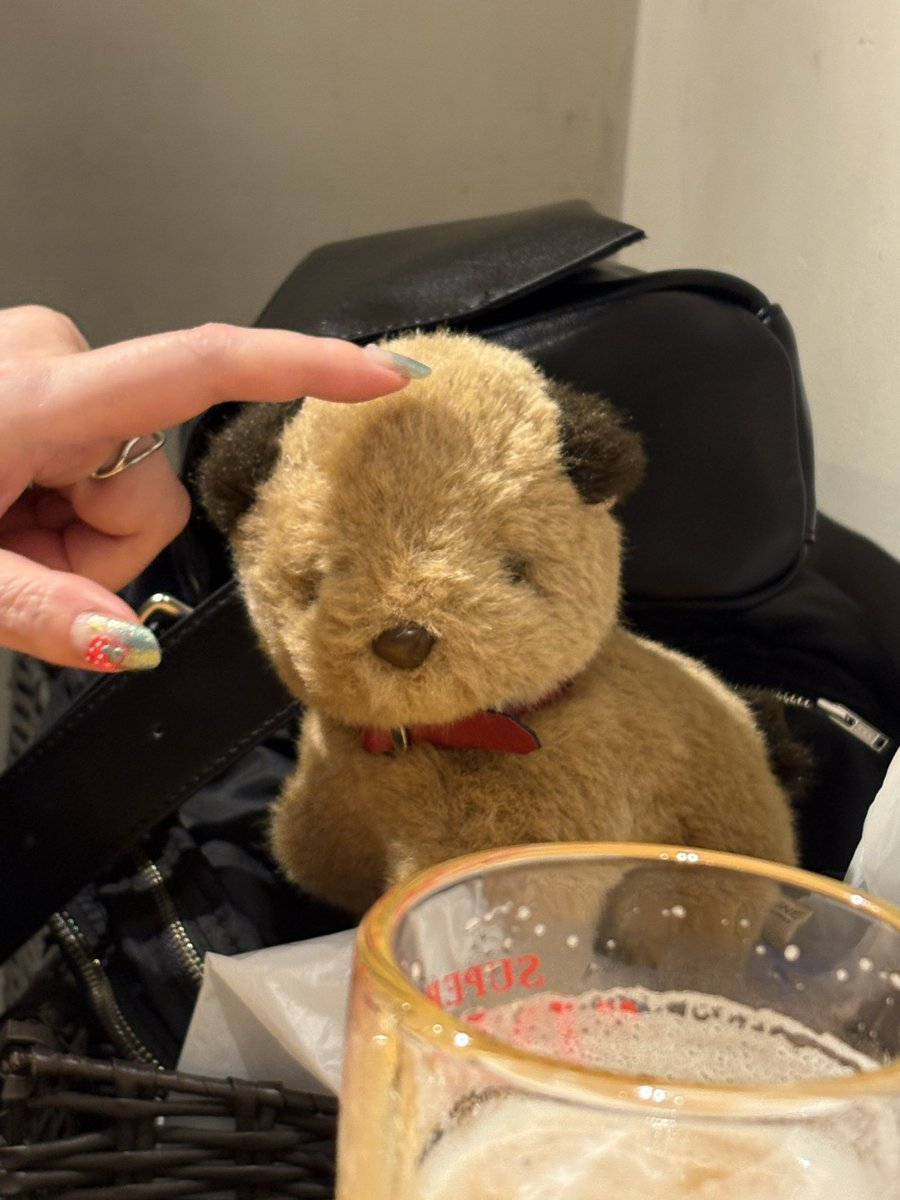 ac0xp's tweet photo. 【補足】こちらのイッヌですが、タグ的に吉徳のぬいぐるみ（ファインサクセス）ということ、タグ的に80年代頃の可能性が高そう、ということのみわかっております…いつか犬種とか歴史とか分かるといいなあ🐶

公式様、急にタグ付けして申し訳ございませんでした🙇🏻‍♀️大切にします！ https://t.co/yvY2WPpmJk