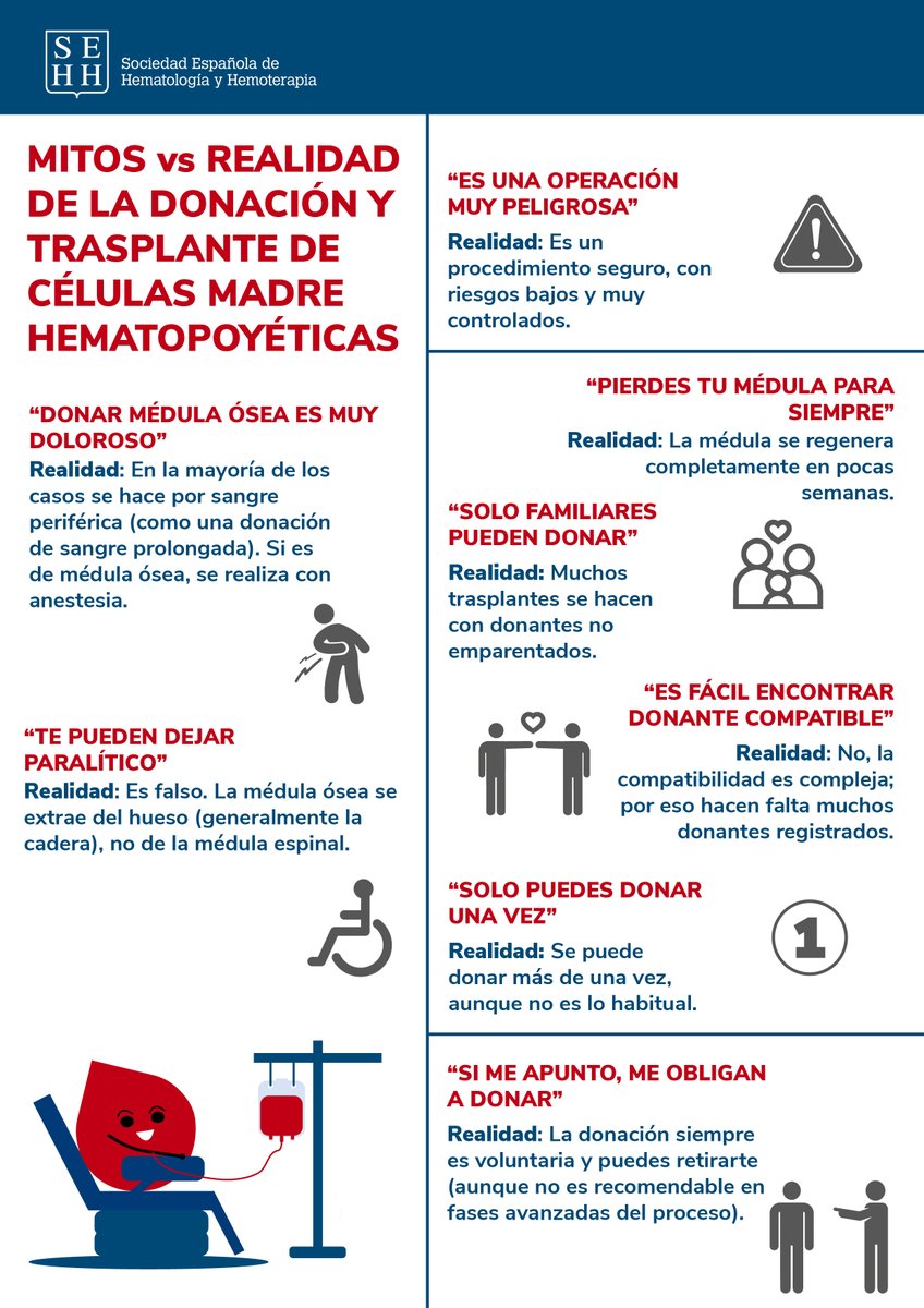 sehh_es's tweet photo. 🌐  En el #DíaNacionalDelDonante, desde la #SEHH queremos agradecer a todas las personas que, con su generosidad, hacen posible cada año la donación de órganos y tejidos en España.

👉 La donación de células madre hematopoyéticas (conocida como donación de médula ósea) sigue estando rodeada de algunos mitos y dudas. En esta infografía te explicamos de forma sencilla cómo es el proceso y desmontamos algunas de las creencias más frecuentes.

Gracias a quienes donan esperanza y oportunidades de vida.🩸
@ONT_esp 
#DonaMédula #SEHHematología #HematoEnRed #DíaNacionalDelDonante #DonaciónDeMédulaÓsea