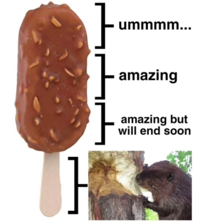 shitpost_2077's tweet photo. https://t.co/5IrX47sOk9