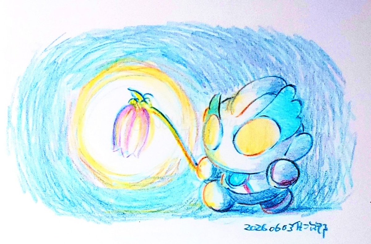 信次郎⭕ tweet media