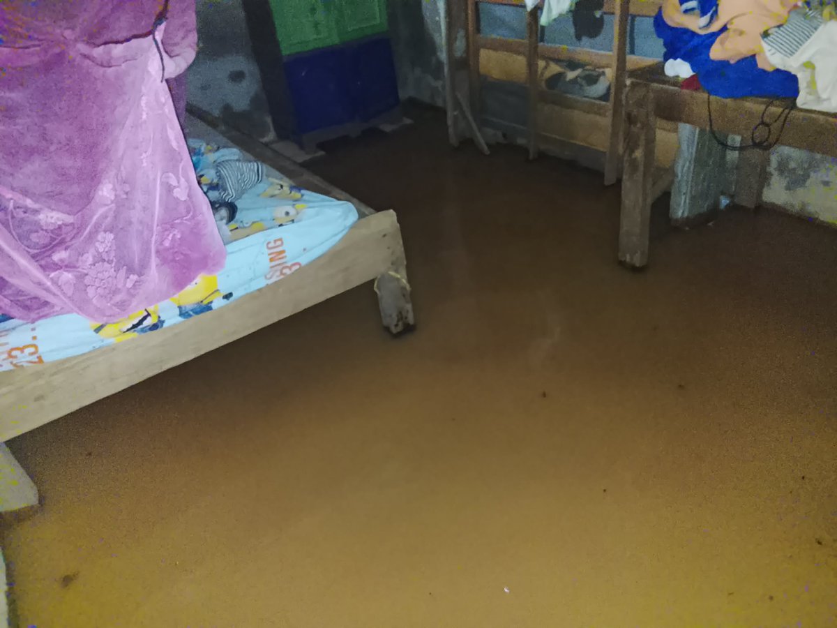 ConredGuatemala's tweet photo. #AltaVerapaz Lluvias registradas en barrio La Felicidad, Fray Bartolomé de las Casas, Alta Verapaz generaron inundación en viviendas ubicadas en el área. A través de la #COMRED se realizó Evaluación de Daños y Análisis de Necesidades (EDAN).

Fotografías: Sistema CONRED. https://t.co/Swg8ldpNjQ