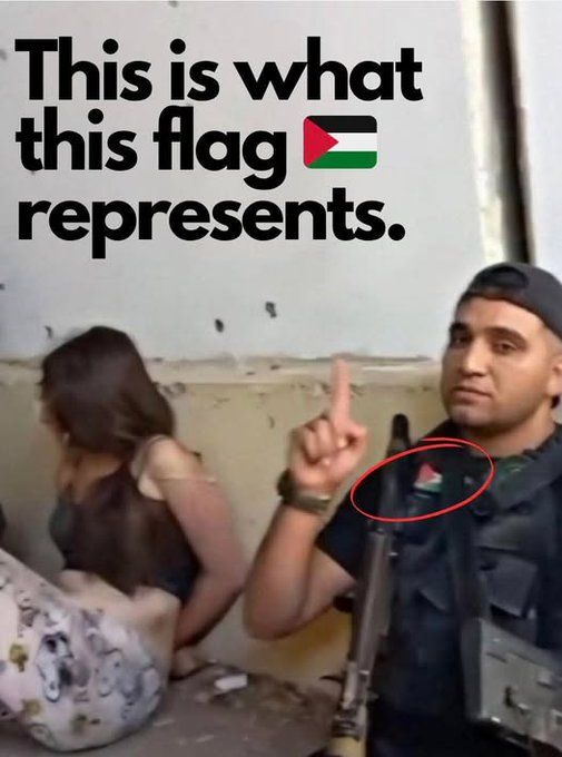 VividProwess's tweet photo. When you see this flag in European cities, remember that it was on Hamas terrorists' uniforms when they livestreamed themselves murdering Jews in Israel in the most brutal ways possible.

Never forget what this flag represents. https://t.co/wj6ofOFOZP