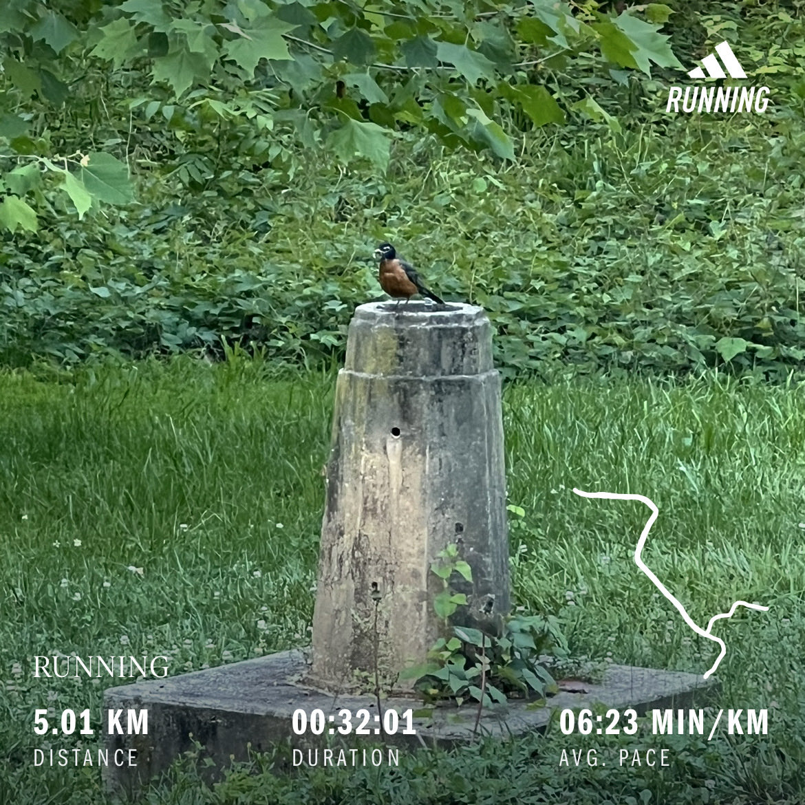 JMZiermann's tweet photo. Happy Global Running Day 🏃🏼‍♀️ 🏃🏾 https://t.co/fEOMpx2q4A