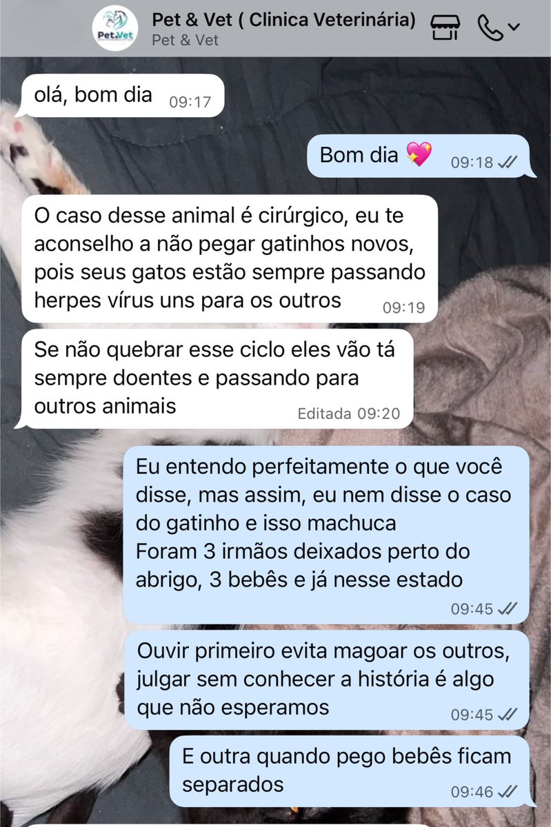di_abrigo_davi's tweet photo. O abrigo é uma casa, uma pequena chácara, tem gatos em todos os quartos, na cozinha, sala,eu não tenho mais quarto. Vou separando todos. 
Para eu chegar até a clínica pago 250 de transporte, o abrigo fica vários dias sem doação
Eu alimento em torno de 100 gatos e 40 cachorros 
+ https://t.co/UXIvnaoIJi
