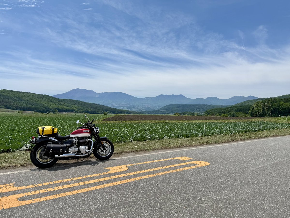 Aki_GB350C's tweet photo. A long ribbon of asphalt cutting through endless cabbage fields—just the kind of scenery that makes you keep the throttle open a little longer.

#tsumagoi #TsumagoiPanoramaLine #speedmaster https://t.co/W11giLScJe