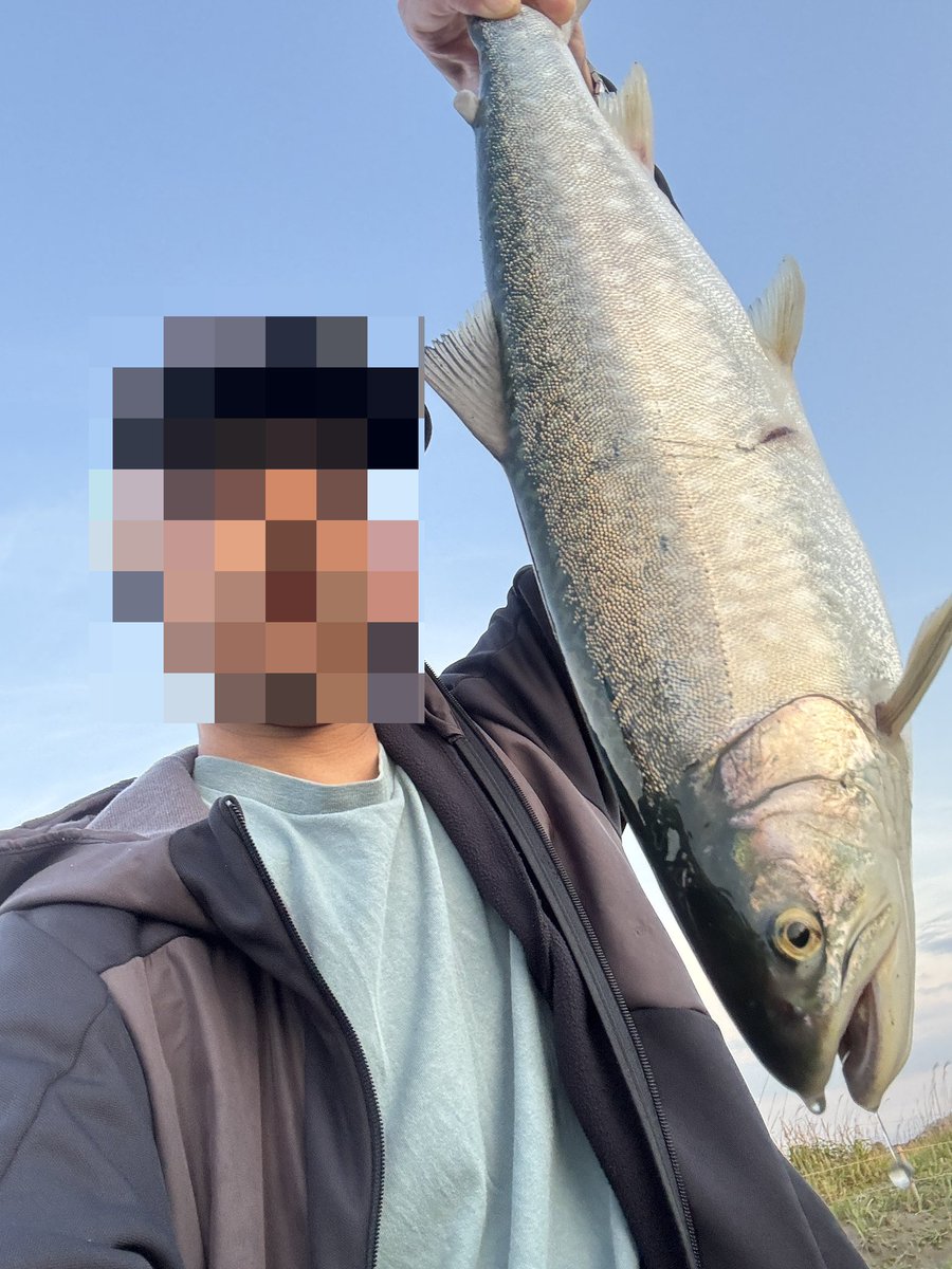 MesiAzera's tweet photo. はいez https://t.co/Z1XvTNtaOx