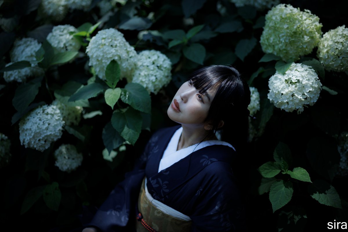 SiraPhoto's tweet photo. 紫陽花 https://t.co/EWmR1ng6uN