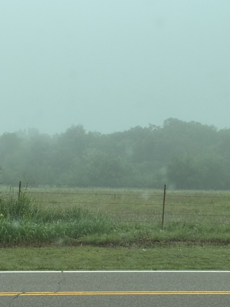 Joshwx's tweet photo. Fog fog fog https://t.co/vc5negiDjF