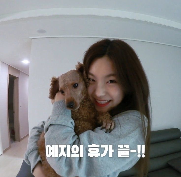 tonefairyjoyy's tweet photo. thank you staying by yeji's side our cute hongsam 🐶 https://t.co/nkTU3EFu45