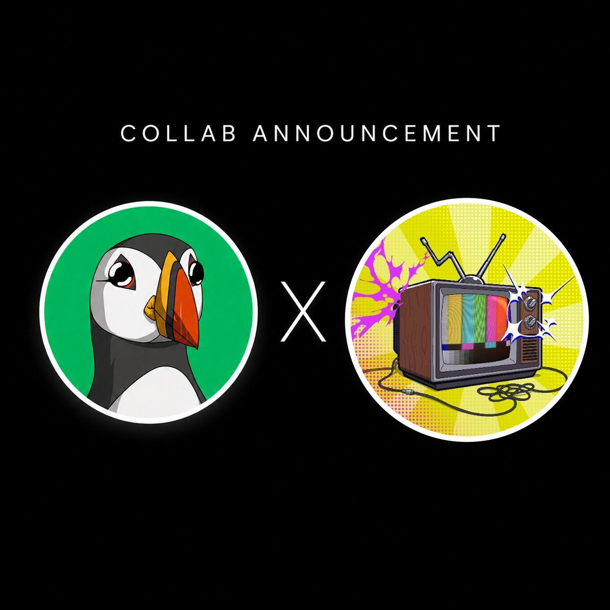 ppuffins's tweet photo. We're excited to announce our collaboration with @TurcNFT 

The team has generously provided around 50 FCFS spots for our community

As well as 5 GTD spots that will be distributed among the most active Puffins in our ecosystem

A huge thank you to the team for this opportunity and for supporting our community!

More in Discord.