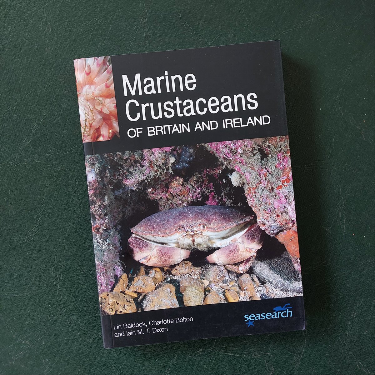 PemberleyBooks's tweet photo. 🦀🌊 Our June #BookoftheMonth has arrived!

From #crabs and #lobsters to tiny shore-dwelling species, this #fieldguide is packed with photos, identification tips and fascinating facts. Perfect for your next seaside adventure!
https://t.co/o63GyIKAKw

#MarineLife #Crustaceans https://t.co/AC1Xf3Qs0k