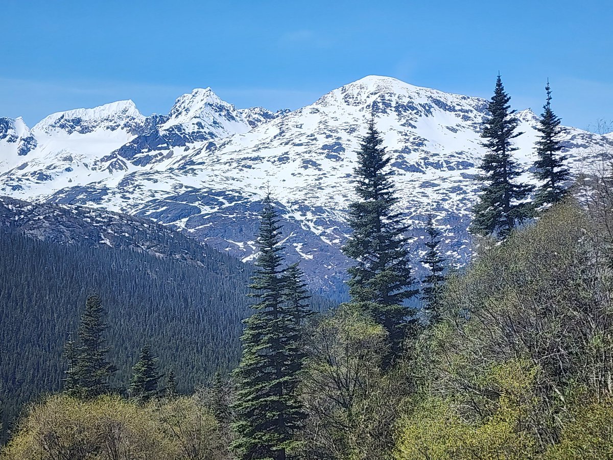 AcroFlipper's tweet photo. Day 3, Skagway

The train ride was AMAZING to see the views! Plus,  I got to see some Alaskan husky puppies https://t.co/YRxmii1fgp