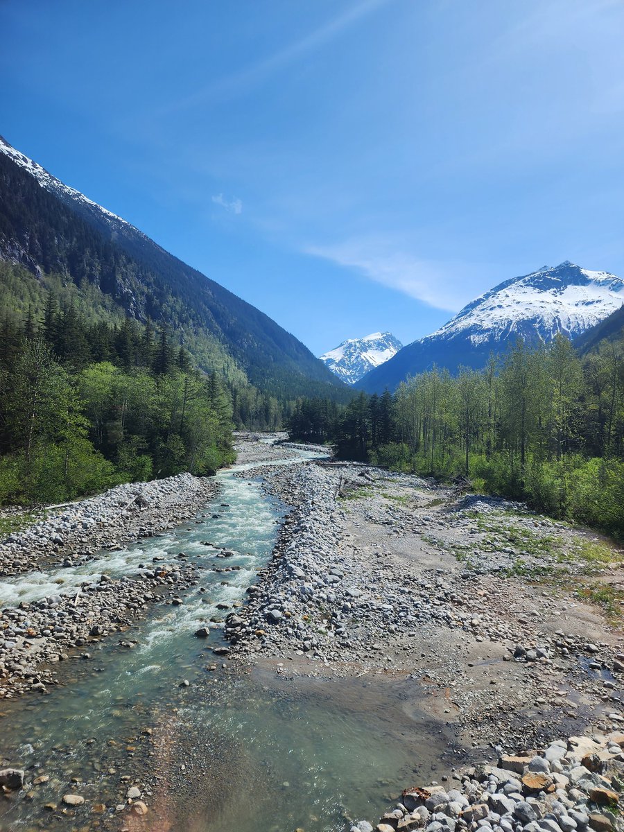 AcroFlipper's tweet photo. Day 3, Skagway

The train ride was AMAZING to see the views! Plus,  I got to see some Alaskan husky puppies https://t.co/YRxmii1fgp