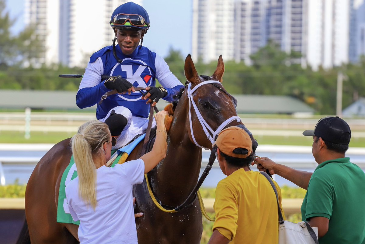 SaffieJosephJr's tweet photo. Ghostlight • Rasheed Hughes • Saffie Joseph, Jr.

#GulfstreamPark | #RoyalPalmMeet | #HorseRacing https://t.co/GPay8M9iYe