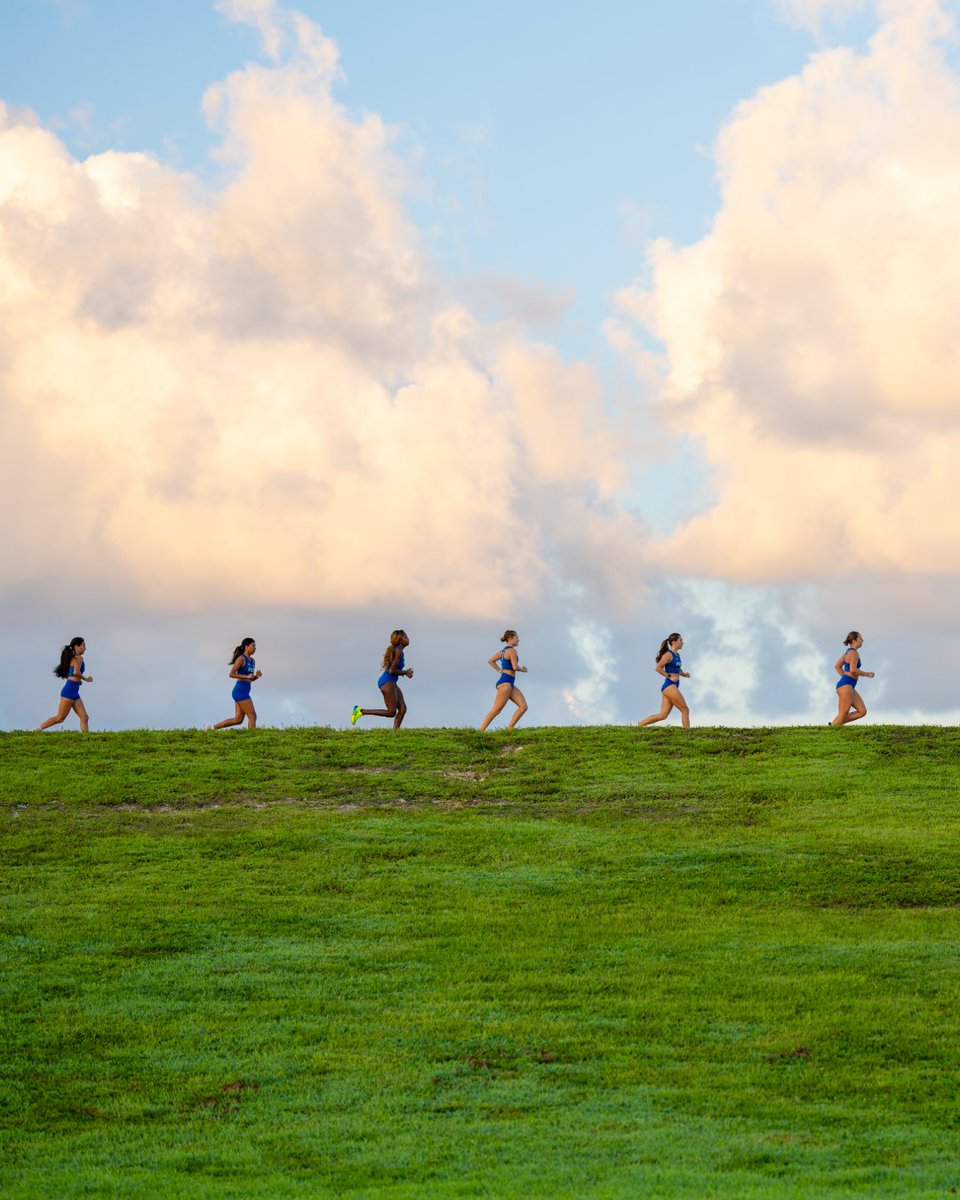 FGCU_XC's tweet photo. Get out and help us celebrate Global Running Day today with a run of your own!

#WingsUp https://t.co/YAEhmBPnFU
