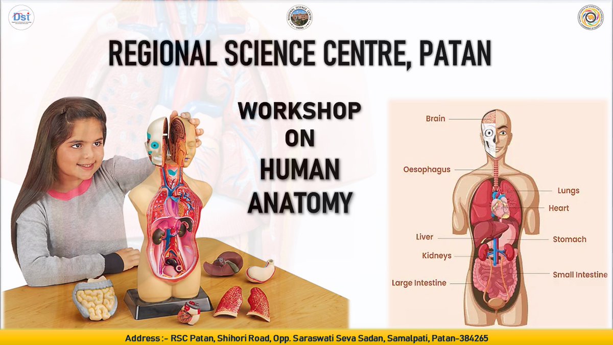 RscPatan's tweet photo. @RscPatan conducted a  Workshop on Human Anatomy Puzzle to create awareness about the human body and promote scientific learning. The activity made anatomy learning simple, engaging, and enjoyable for young minds. https://t.co/vJltVsJboM