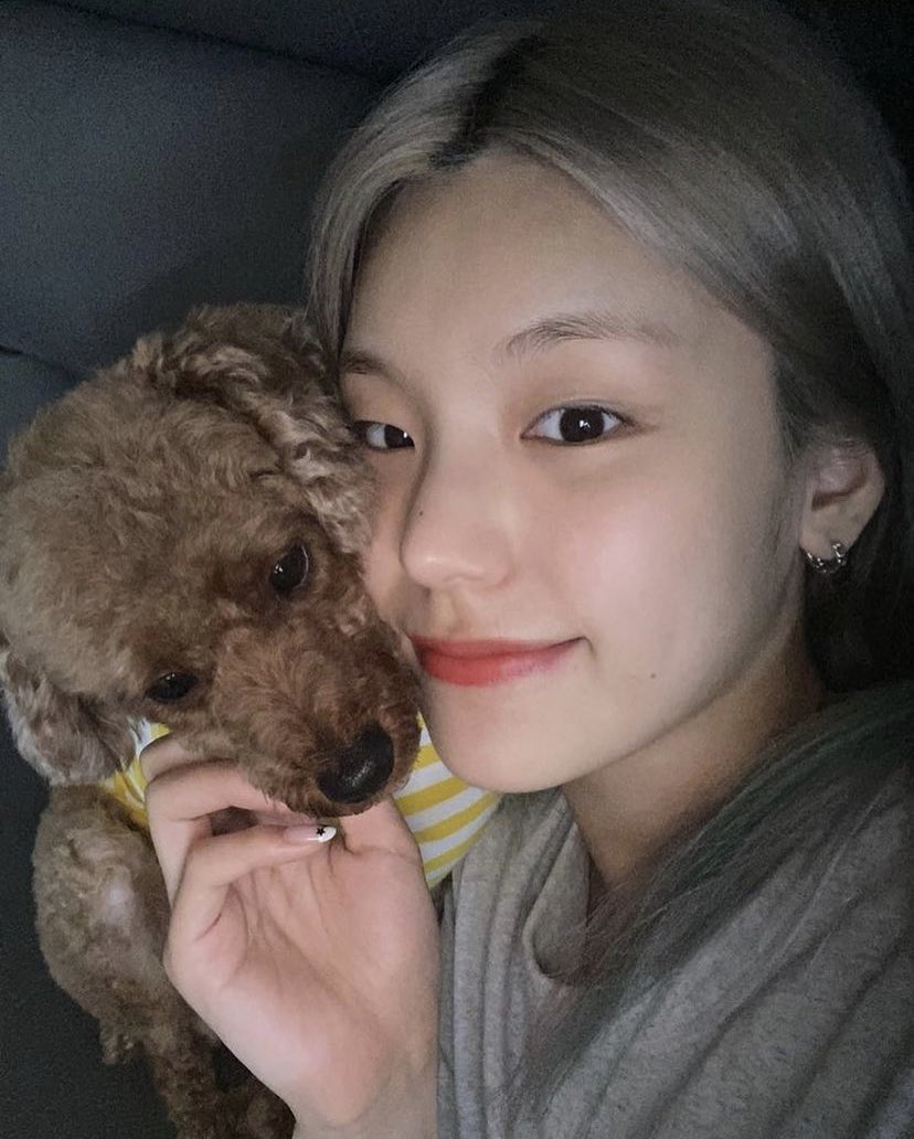 sinrryuddaeng's tweet photo. 순둥아기천사사랑행 https://t.co/v2XdBpAcrf