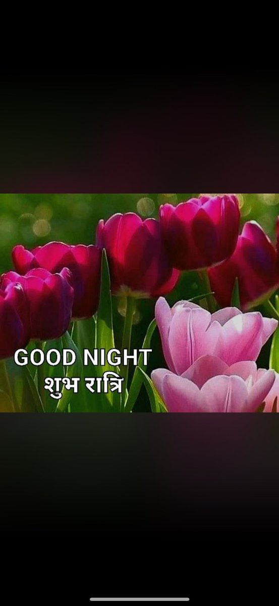 1953_rvc's tweet photo. @Rossini61600855 https://t.co/0TjEvbL1Vw