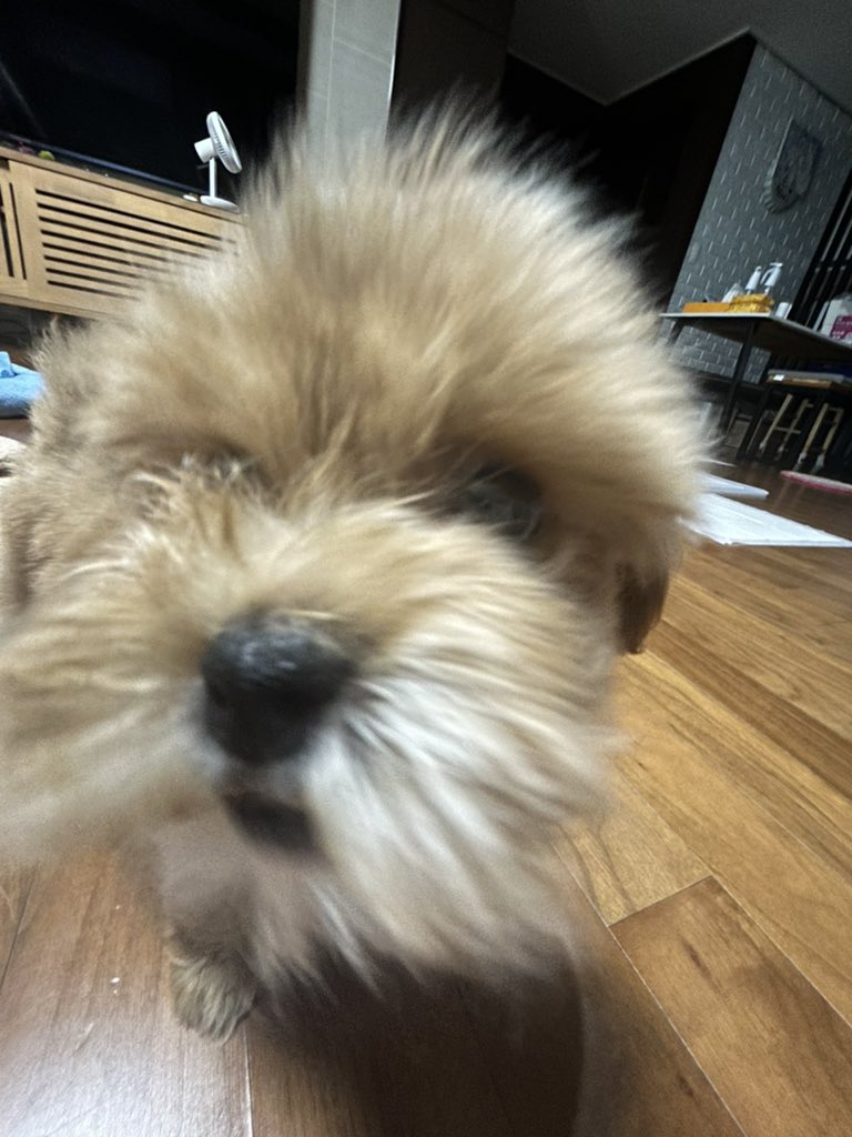 Gamja__22's tweet photo. 자고 인나자마자 물어! https://t.co/0diGnepPv0