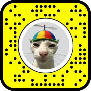 ikluqa's tweet photo. Cat snapchat lens https://t.co/OYZRv6MVYD