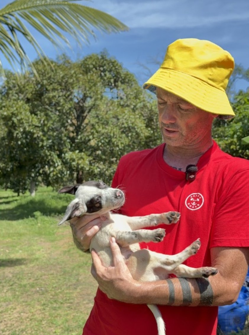 wearehappydoggo's tweet photo. We are Happy Doggo! 🐶

We often get asked what’s the best ways to support our work helping street dogs…

❤ A monthly donation helps us sterilize, treat and help thousands of dogs a month….

https://t.co/ZxgG51p2ae

📬 Or subscribe to become an exclusive member on our YouTube and receive extra content / early access to Happy Doggo news - just tap the join button!

https://t.co/XQrII0Mbe4

It’s as simple as that!