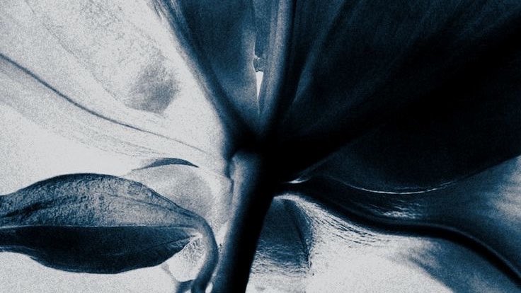 aantonle's tweet photo. 'II' Trailer Photo : Rise (2) Realize. https://t.co/hf51fLAAFu