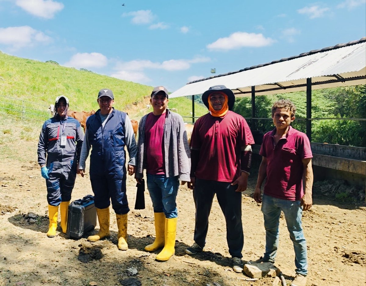 Agricultura_CZ7's tweet photo. #Loja | El #MAGP a través de la Oficina Técnica #Macará y en coordinación con el proyecto #PROFOSPE, realiza diagnósticos de preñez en bovinos mediante ecografía.
#ElNuevoEcuador 👩🌾👨🌾🐄 https://t.co/Mbtj66ELX4