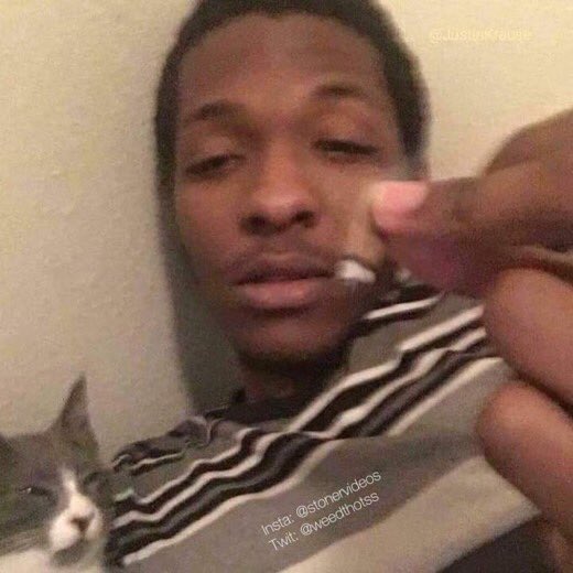 sanity01477's tweet photo. Hotboxing my emotional support me and my cat just solved world peace https://t.co/KCqc3l1Cit