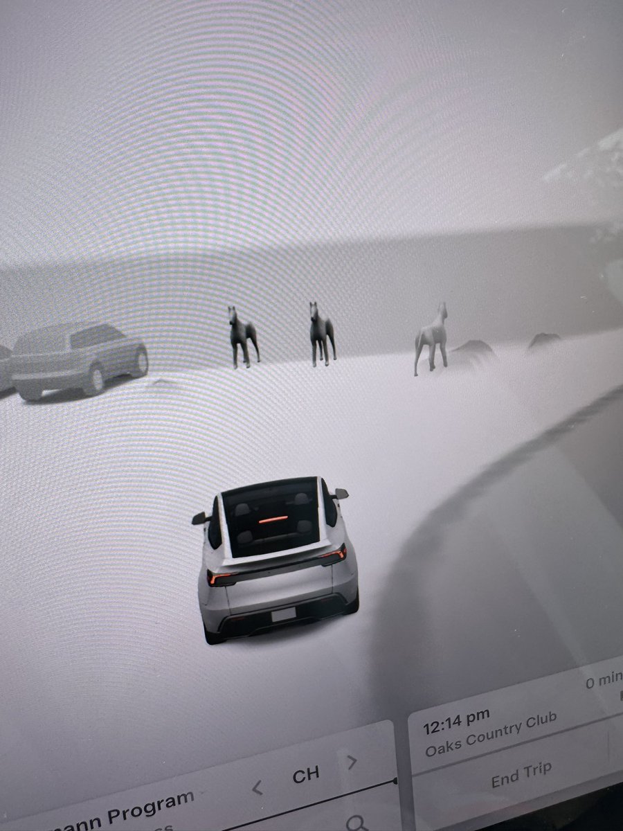 markrmorley's tweet photo. @Tesla okay does this happen to anyone else or is it because I’m in Oklahoma?
My new Model Y shows horses at the club where golf carts are parked! https://t.co/E0QzeSSNlg