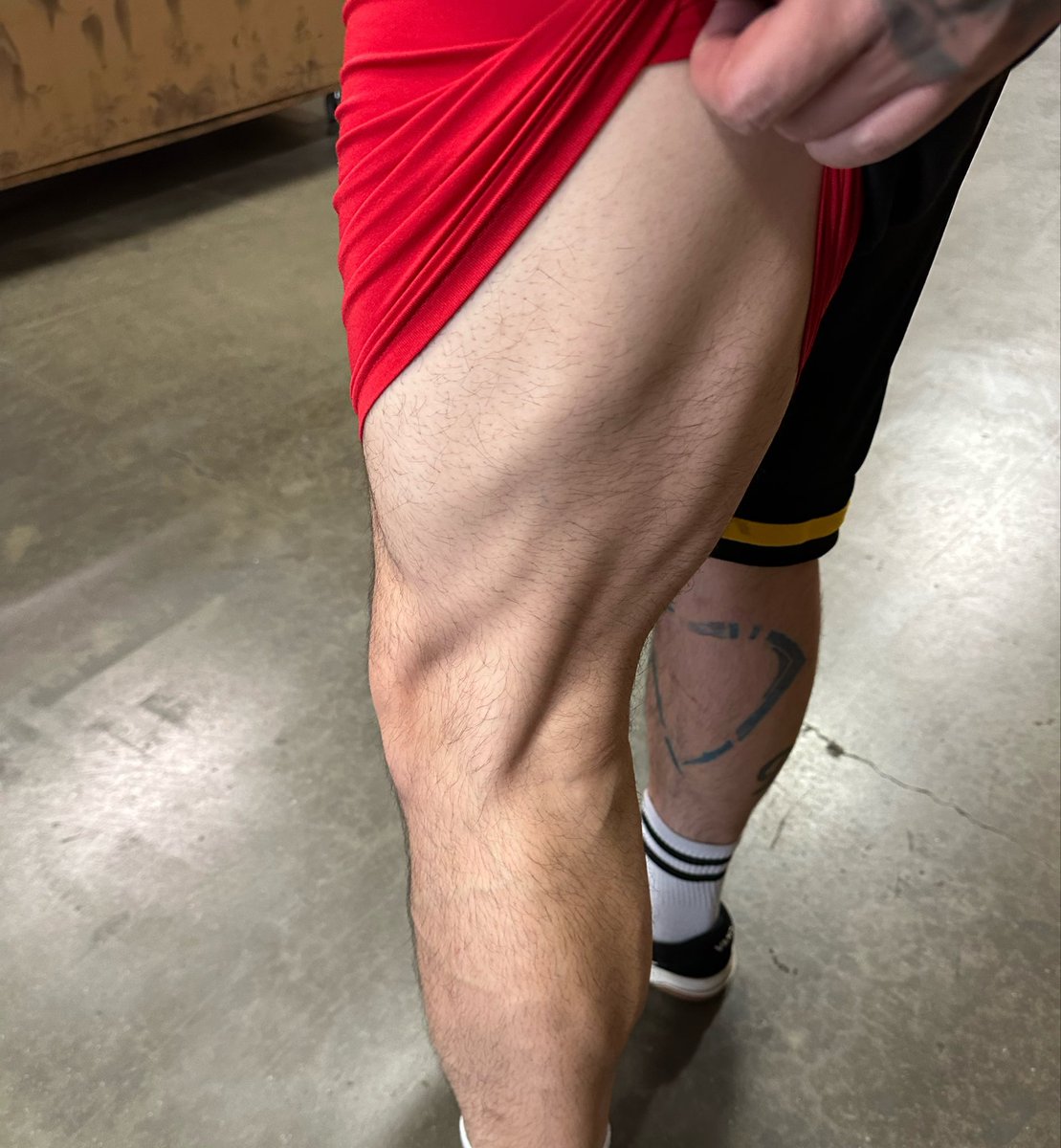 JMat9595's tweet photo. My mooscles are getting bigger #gym #gains
Can I smash ur head between my big ass legs? 😩 https://t.co/T9HlX7Ib9J