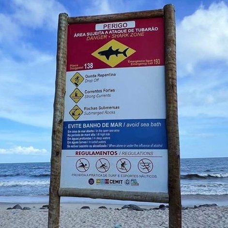 republiqueBRA's tweet photo. 🦈 ⛔️ Justiça NEGA pedido de indenização por danos morais de vítima que perdeu um braço após um ataque de tubarão em uma praia de Jaboatão dos Guararapes (PE): “Ao optar pelo banho de mar em área de risco notório, a vítima assumiu o risco do resultado”, diz juíza. https://t.co/C8o9Qk644S