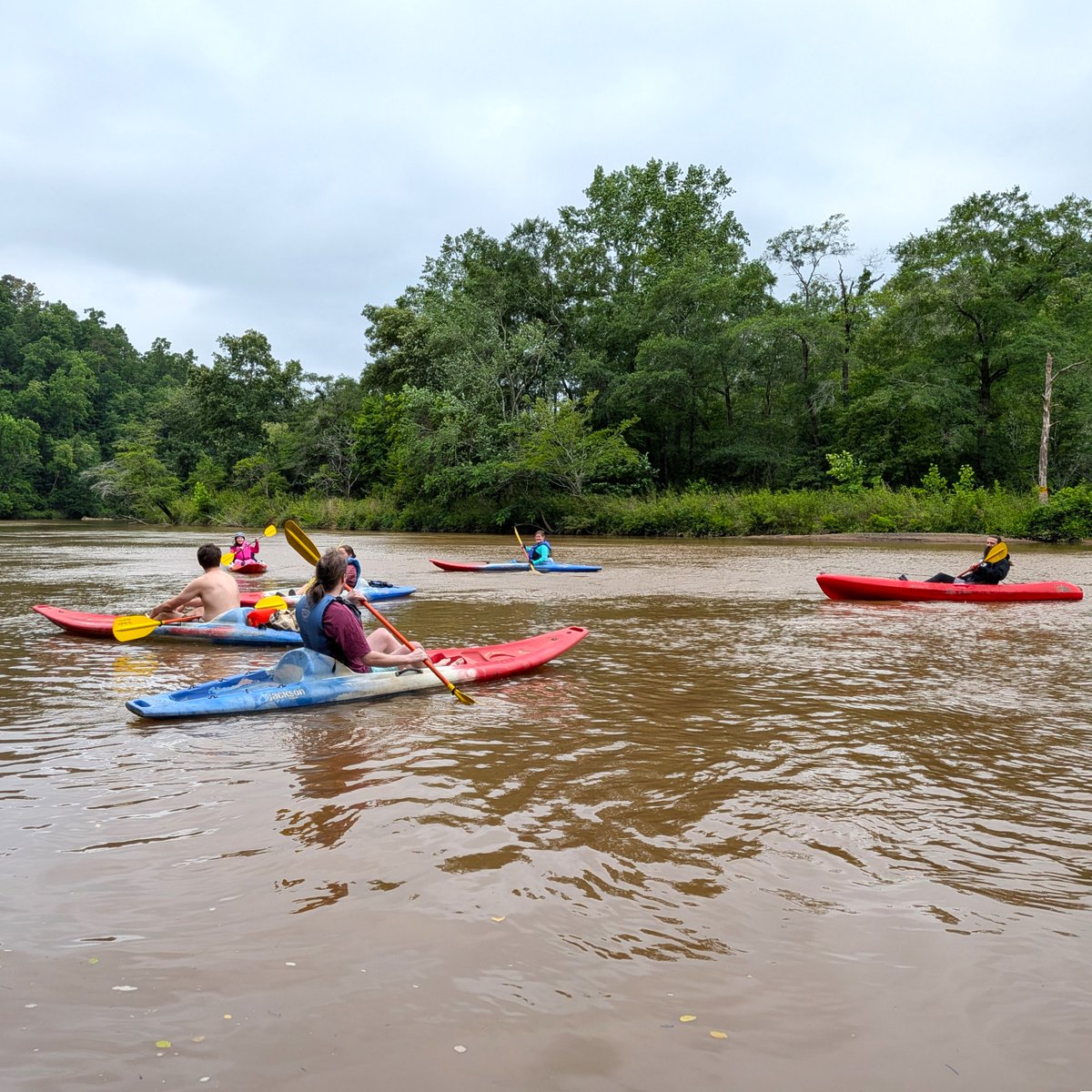 DavidTList's tweet photo. My days are filled with hauling kayaks and kayakers up and down the Broad River and missing my bearded bros (@DB_Rook, @TomBookbeard, @CharlieCavendi4) but I still find time to stress over which SFF Insider semi-finalist is going to knock V&amp;V out of #SPFBOXI. https://t.co/EBQF96SdM2