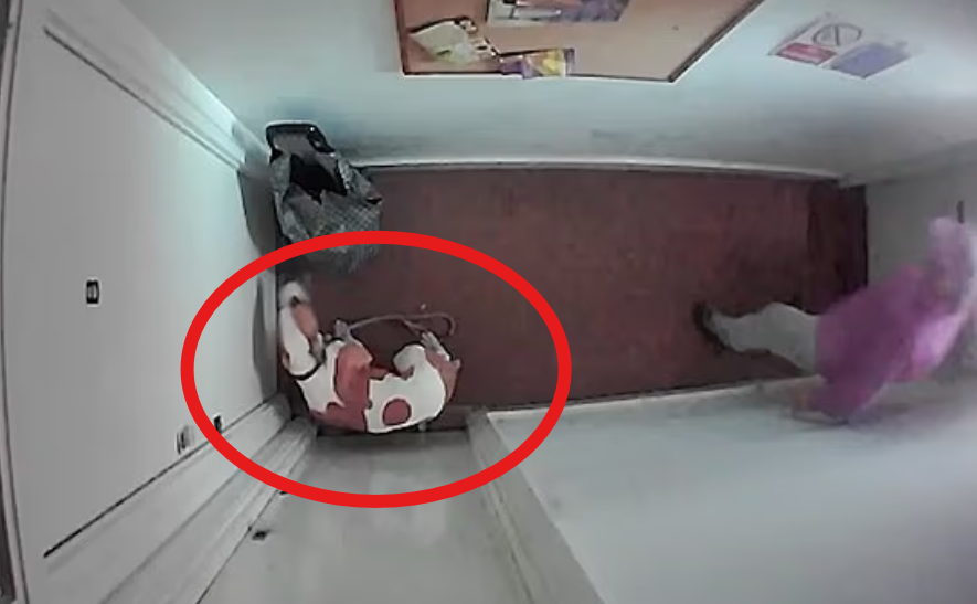 TheGriftReport's tweet photo. THUG GETS OFF WITH A FINE AFTER REPEATEDLY STAMPING ON DOGS HEAD

A 61-year-old thug from Bermondsey, south London, has been banned from keeping animals for nine years after CCTV captured him repeatedly stamping on his whimpering bulldog’s head.

Leslie Hill was filmed violently kicking and stamping on the cowering brown-and-white dog named Darcy as he entered his home in September 2025. In a second clip the terrified animal recoiled into a corner while on a lead before Hill stamped on its head twice, causing it to squeal in pain.

He pleaded guilty at Croydon Magistrates’ Court on 21 May to causing unnecessary suffering under the Animal Welfare Act.

Hill was fined £200, ordered to pay £114 victim surcharge and £85 prosecution costs (deducted from his benefits), and must complete 20 days of rehabilitation activities.

The RSPCA brought the private prosecution after receiving the footage. Darcy has been removed from his ownership and is now in RSPCA care.

RSPCA Inspector Jade Guthrie said: “Animals feel pain and distress just like we do and always deserve to be shown kindness and compassion.”