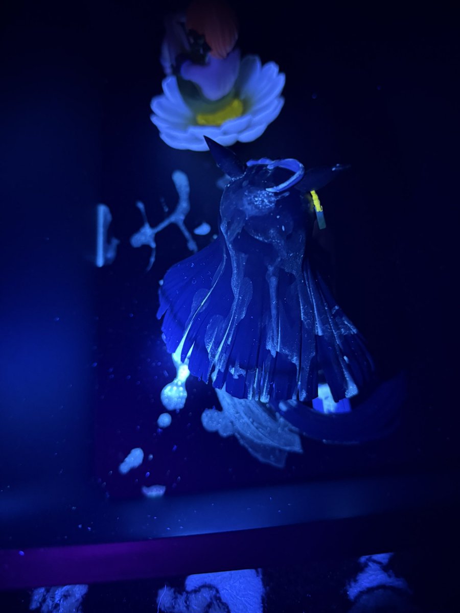 santaku516's tweet photo. 無洗浄カフェにブラックライト当ててみた
すごいな…
#無洗浄ぶっかけ
#フィギュアぶっかけ https://t.co/XKnUjfzDkp