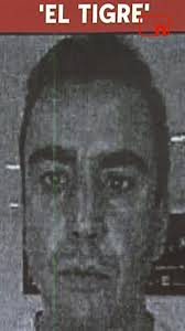 submundodocrime's tweet photo. Essa Narco Sky deflagrada ontem pela PF chamou atenção pela menção a Alejandro Vega, o El Tigre, que é hoje considerado um dos principais narcos da Espanha.

Com CPF regular no Brasil emitido na região Norte, a PF ligou alguns carregamentos de batizados do PCC ao narco. https://t.co/mB9o5TvAmo
