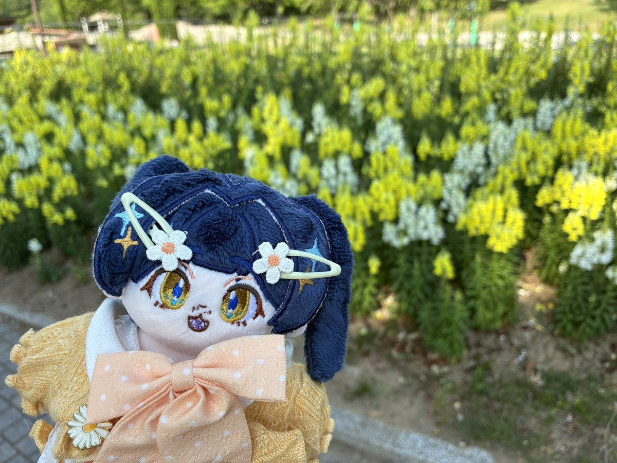 ui_nuinui's tweet photo. この前久しぶりにお嬢さんとお出かけしてきました🥰 https://t.co/47X7AwcTly