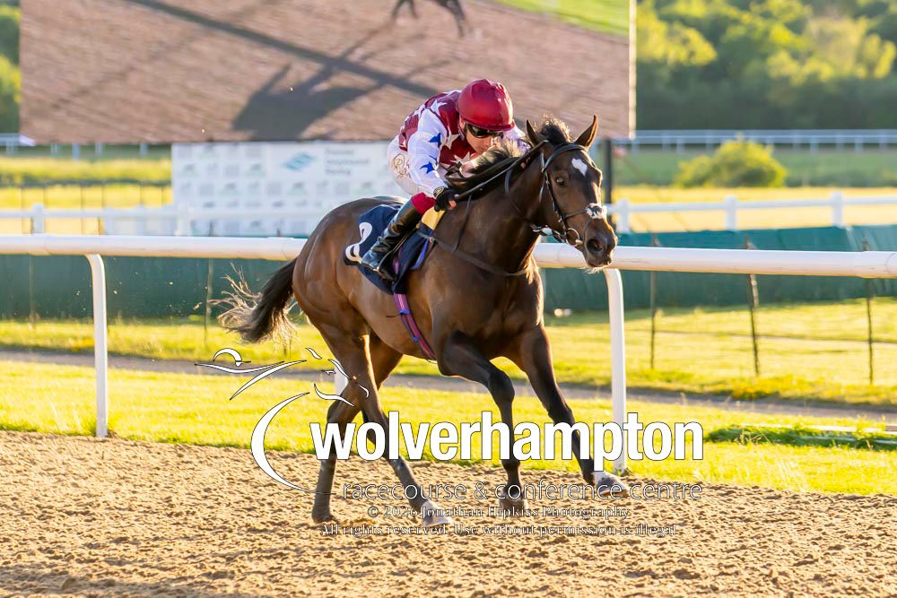 WolvesRaces's tweet photo. 2.06.26     Race 6- The Cavani Classic Style

Winner-  South Coast Star
Trainer-  Hugo Palmer
Jockey -  Oisin Murphy
Owner - Whip and Dip Syndicate

All images taken by - Jonathan Hipkiss https://t.co/utCYyEpycP
