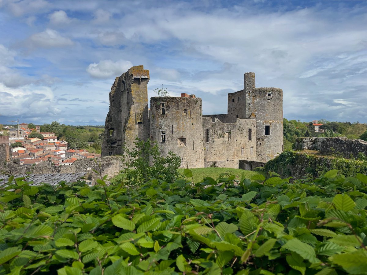 mikaelsilf's tweet photo. Clisson
The next day, the weather finally improved, and I headed to the town of #Clisson⬇️ https://t.co/62uC0QrAfL