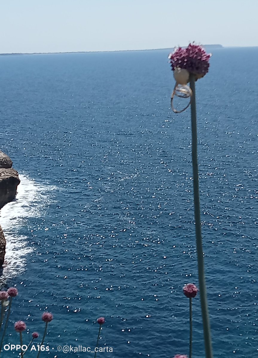 kallac_carta's tweet photo. Pensati al mare... https://t.co/BSxaabkVPO