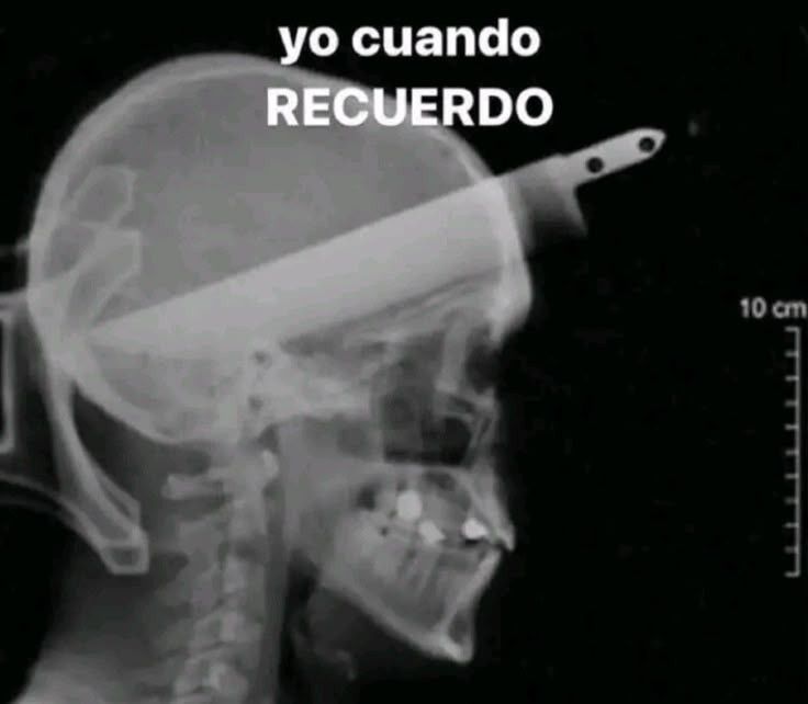 Quilombola tweet media
