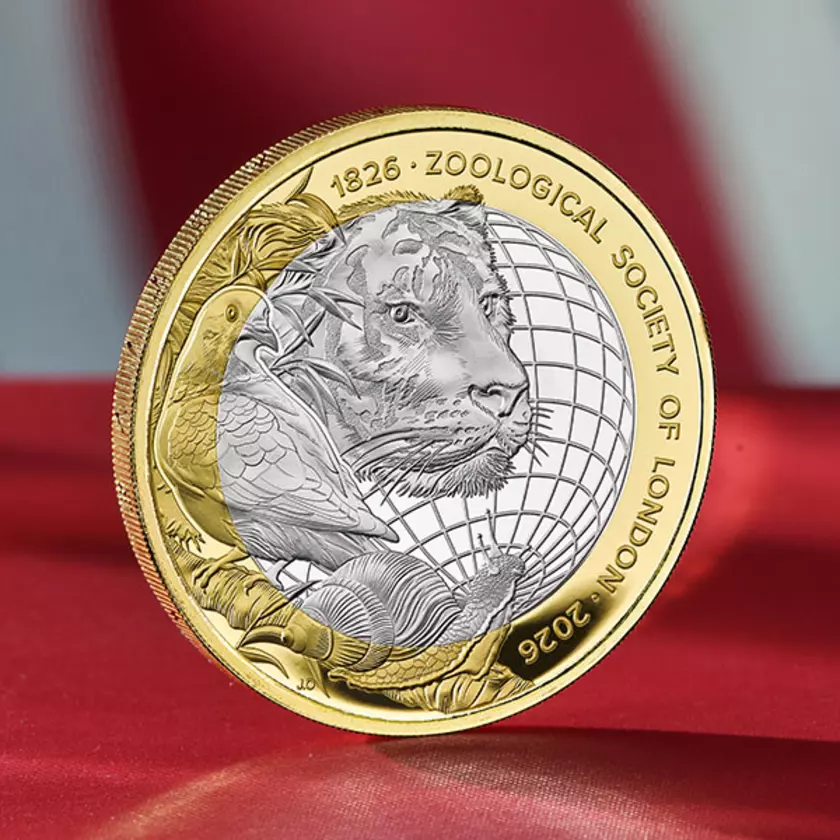 OfficialZSL's tweet photo. Hedgehogs, puffins and common frogs are among the British Wildlife species shortlisted for new UK banknotes.

We’re helping protect these species through wildlife health research and projects – from London HogWatch to investigating threats facing wild birds and amphibians.

The more visible wildlife is in our daily lives, the more likely we are to value and protect it 💚 https://t.co/HzvEX6ObPK