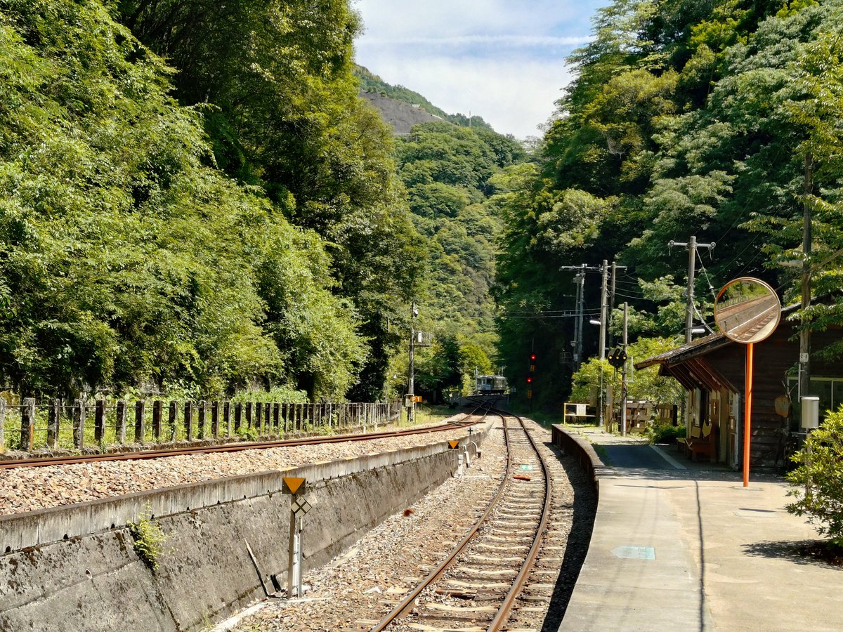 chestnuts0509's tweet photo. 四国鉄道の旅3日目
今日は土讃線がほこる秘境駅坪尻駅を訪問

アクセス
 阿波池田駅から多度津・高松方面行の普通列車で３つ目の駅

駅前の様子
人家はゼロ
うっそうとした木々と「マムシに注意」の立て札があるだけの異世界

脱出ルート
車道に出るには、熊が出そうな山道を600mも登る必要あり https://t.co/3LkSogYFsz