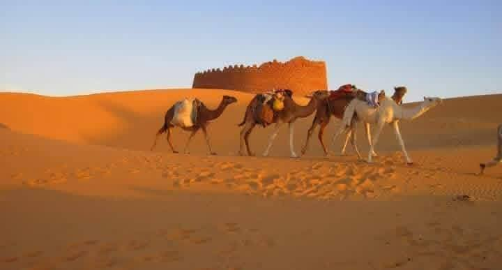 ericthomex's tweet photo. L'oasis rouge: Timimoun 💚❤️🏝️
#Algeria 🇩🇿 https://t.co/7wf9hObfMs