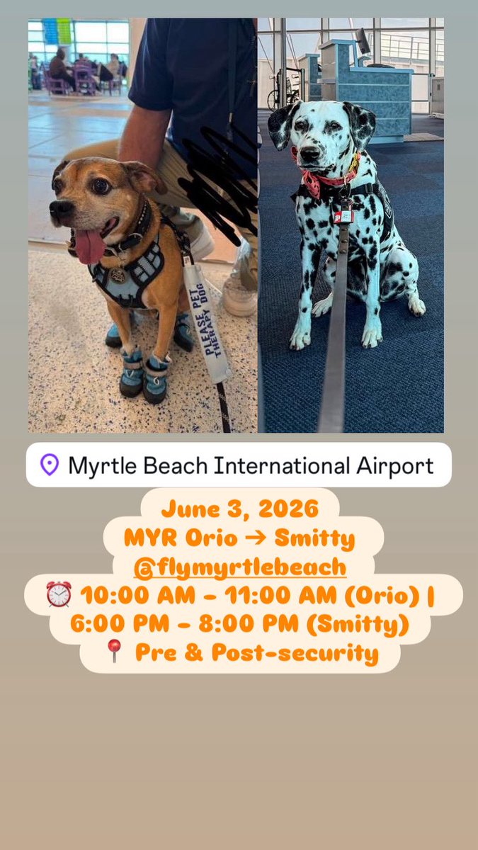 APTherapyDogs's tweet photo. June 3, 2026
MYR Orio ➔ Smitty @FlyMyrtleBeach 
⏰ 10:00 AM – 11:00 AM (Orio) | 6:00 PM – 8:00 PM (Smitty)
📍 Pre &amp; Post-security https://t.co/n1jcQf8FrK