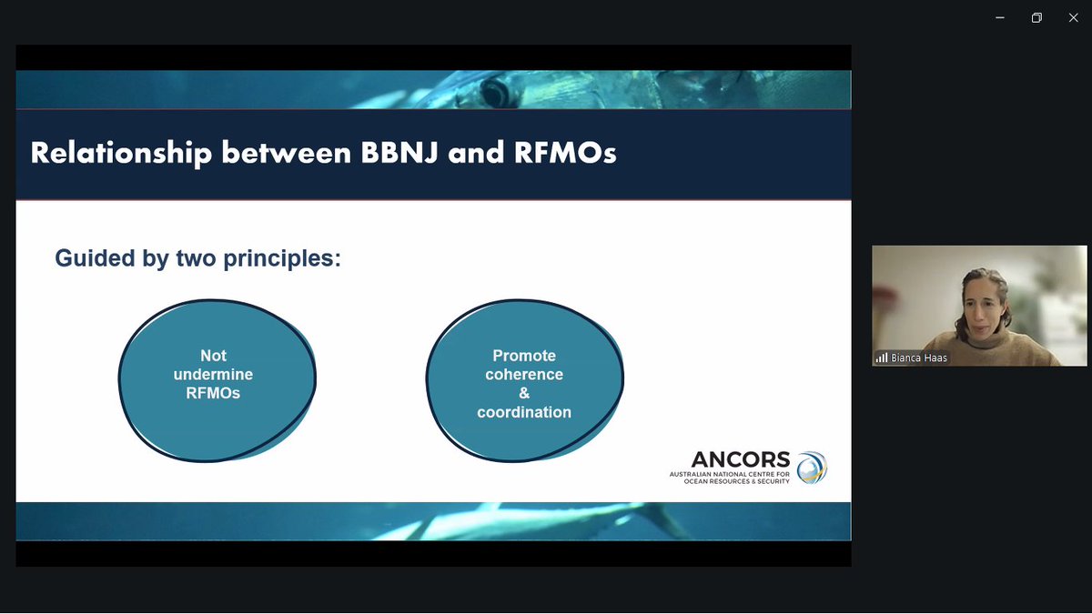 swiotuna's tweet photo. A big thank you to everyone who joined our webinar on Implementing the BBNJ Agreement. Your participation and insights made the discussion rich and meaningful.
#BBNJ #swio #Fisheriesgovernance https://t.co/IFlthyJYII